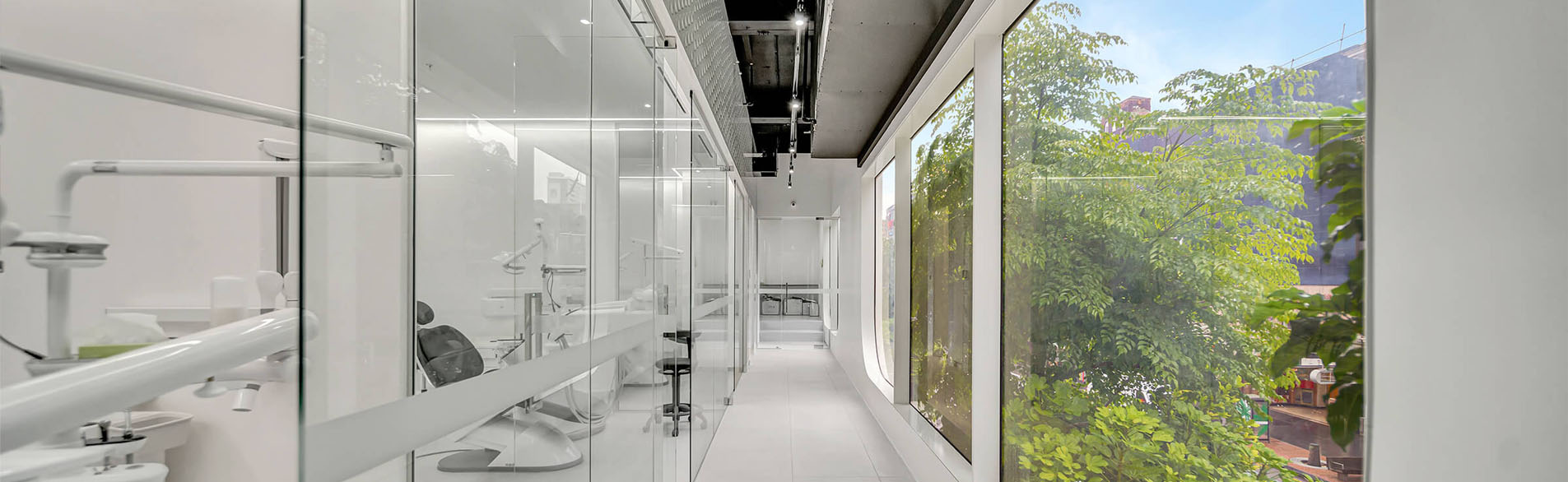 Modern office hallway with glass partitions and large windows overlooking greenery.